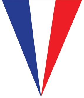 Franse versiering vlaggenlijnen - 5 meter - plastic