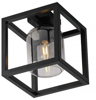 Freelight Dentro Plafondlamp Smoke Zwart 1 Lichts 25cm