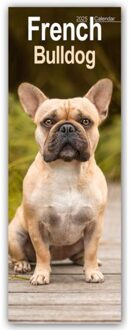 French Bulldog Slim Calendar 2025 Dog Breed Slimline Calendar - 12 Month - Slimline-Kalender - Avonside Publishing Ltd