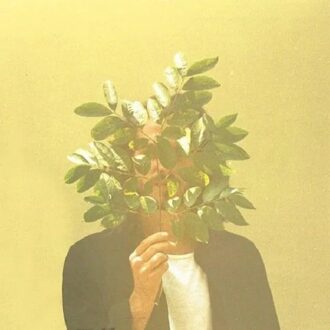 French Kiwi Juice (2Lp) (LP)