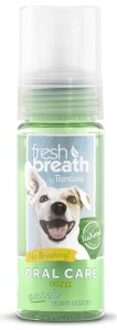 Fresh Breath Instant Fresh Foam - Gebitsverzorging - 133 ML