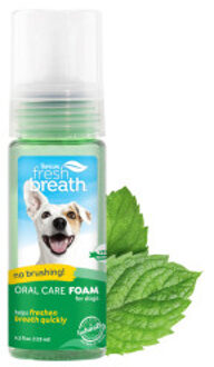 Fresh Breath Instant Fresh Foam - Gebitsverzorging - 133 ML