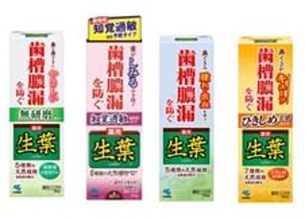 Fresh Leaf Toothpaste Tightening Feel - 100g