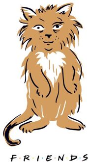 Friends Smelly Cat t-shirt - Wit - 4XL