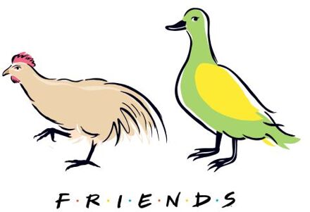 Friends The Chick And The Duck t-shirt - Wit - 4XL