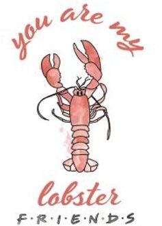 Friends You Are My Lobster t-shirt - Wit - XL