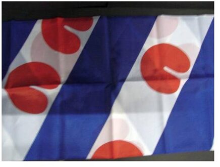 Friese vlag  40 x 60 cm