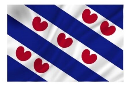 Friese vlag 50x75 - Veiligheid en vlaggen