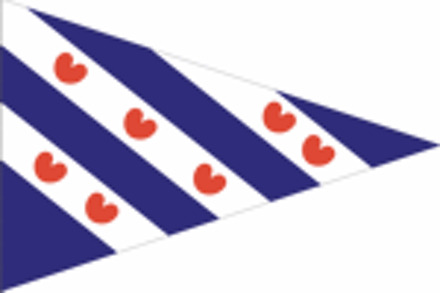 Friese Vlag Puntvlag Friesland 40x60 Cm Punt multi