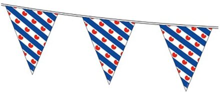 Friese vlag vlaggenlijn van 10 meter - Vlaggenlijnen Multikleur