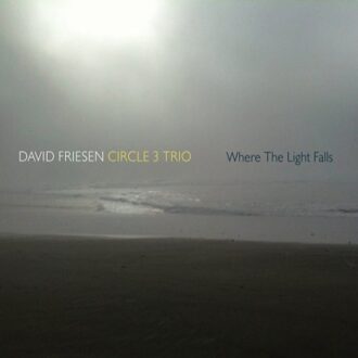 Friesen David / Circle 3 Trio - Where The Light Falls