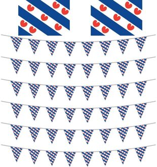 Friesland decoratie pakket met 2 vlaggen en 6 vlaggenlijnen - Feestpakketten