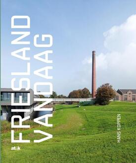 Friesland vandaag - Boek Hans Koppen (9492176505)