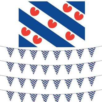 Friesland versiering set met vlag + 4 vlaggenlijnen Multi