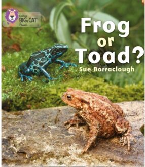 Frog Or Toad? - Collins Big Cat Phonics - Sue Barraclough