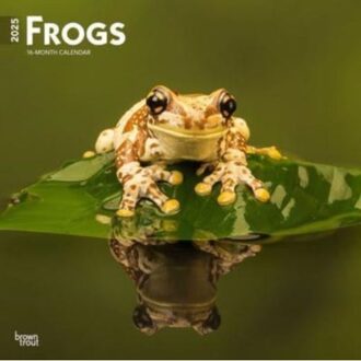 Frogs 2025 12 X 24 Inch Monthly Square Wall Calendar Plastic-Free - Browntrout
