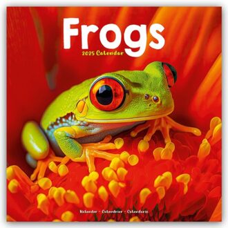 Frogs Calendar 2025 Square Animal Wall Calendar - 16 Month - Browntrout Wandkalender - Avonside Publishing Ltd