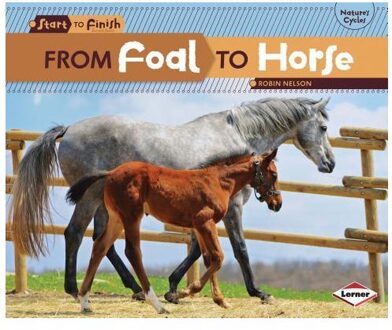 From Foal to Horse