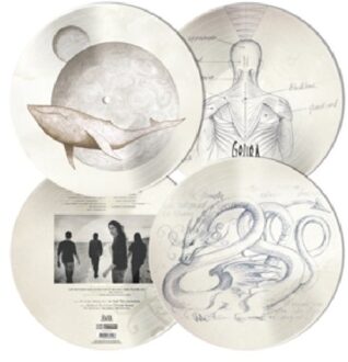 From Mars To Sirius - Gojira