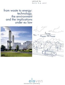 From Waste to Energy: Technology, The Environment and the Implications under EU Law - eBook Boom uitgevers Den Haag (9462748004)