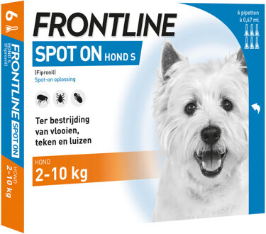 Frontline Hond Spot-On Small - 6 Pipetten