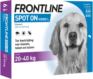 Frontline spot-on anti-vlooienmiddel voor de hond L / 20-40 kg 6 pipetten