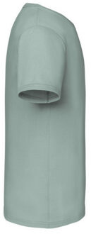 Fruit of the Loom Effen kinder/kids iconic 150 t-shirt Grijs - 140/146