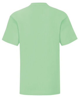 Fruit of the Loom Effen kinder/kids iconic 150 t-shirt Groen - 104