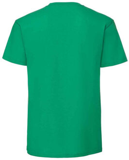 Fruit of the Loom Heren iconic 195 premium ringspun katoen t-shirt Groen - XXXL