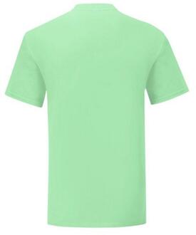 Fruit of the Loom Heren iconisch 150 t-shirt Groen