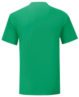 Fruit of the Loom Heren iconisch 150 t-shirt - maat XXXL Groen