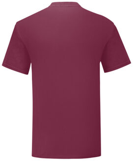 Fruit of the Loom Heren iconisch 150 t-shirt - maat XXXL Rood