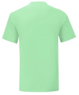 Fruit of the Loom Heren Iconisch 150 T-Shirt (Muntgroen) - maat XL