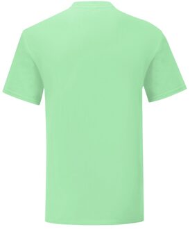 Fruit of the Loom Iconisch T-shirt voor heren (set van 5) (Neo Munt) - maat 3XL Veelkleurig