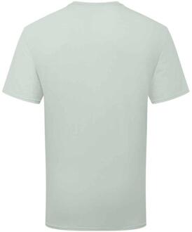 Fruit of the Loom Katoenen uniseks T-shirt voor volwassenen (Salie) Grijs - S