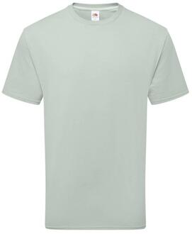 Fruit of the Loom Katoenen uniseks T-shirt voor volwassenen (Salie) Grijs - S