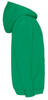 Fruit of the Loom Kinder/kids klassieke hoodie Groen - 116
