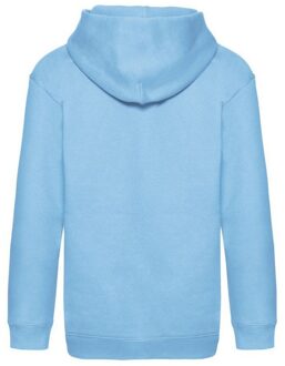Fruit of the Loom Kinder/kids premium hoodie Blauw