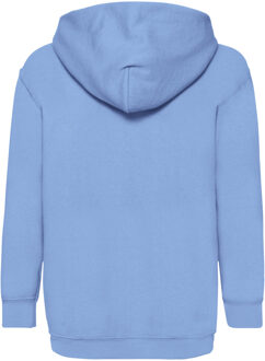 Fruit of the Loom Kinderen/Kinderen Classic Hooded Sweatshirt (Hemelsblauw) - 14-15J / 164-170cm