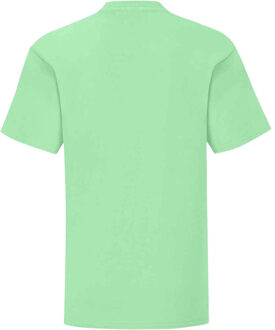 Fruit of the Loom Kinderen/kinderen iconisch t-shirt Groen - 128