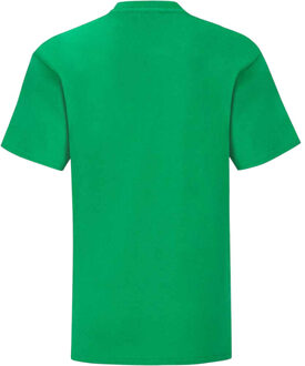 Fruit of the Loom Kinderen/kinderen iconisch t-shirt Groen - 152/158