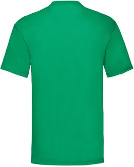 Fruit of the Loom Unisex adult waardevol t-shirt Groen