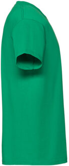 Fruit of the Loom Unisex volwassen iconic 195 t-shirt Groen - S