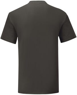 Fruit of the Loom Unisex volwassen iconisch t-shirt Grijs