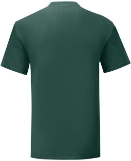 Fruit of the Loom Unisex volwassen iconisch t-shirt Groen - XXXL