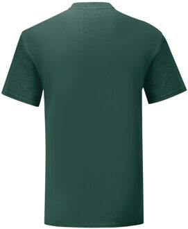 Fruit of the Loom Unisex volwassen iconisch t-shirt Groen