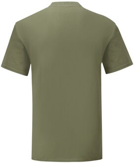 Fruit of the Loom Unisex volwassen iconisch t-shirt Groen