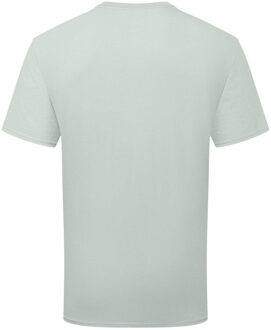 Fruit of the Loom Unisex Volwassenen 100% Katoenen T-shirt (Sage) - maat L Grijs
