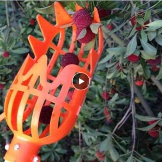 Fruit Picker Fruit Catcher Tuinieren Vruchten Collection Picking Hoofd Tool Kas Tuingereedschap Grote Hoogte Harvester Picker 01 oranje