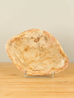 Fruitschaal versteend hout F-19